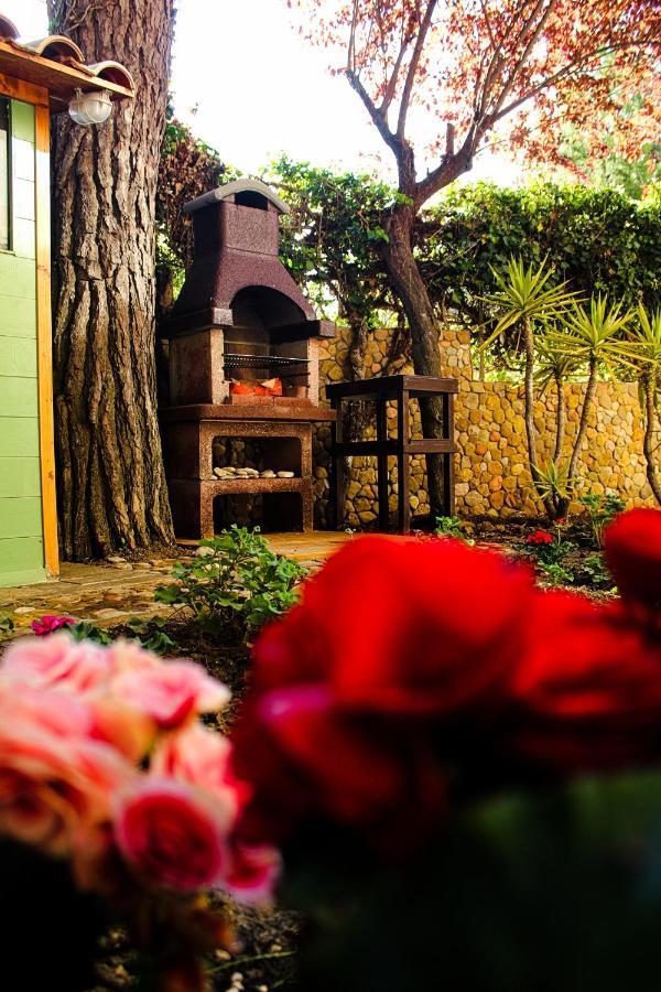 La Casa Di Nonno Giulio Bed & Breakfast Porto Sant'Elpidio Exterior photo